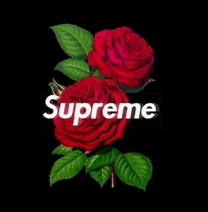 Meet your Posher, Edgar